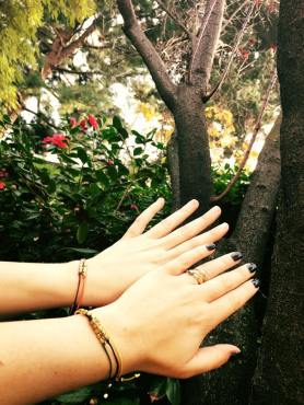 12400574_10104936563573833_2756460685296520931_n